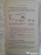 Electricité pratique : préparation aux C.A.P. - B.E.P. des métiers de l'électricité 