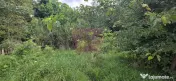 Teren de vanzare 600 mp in Telega 