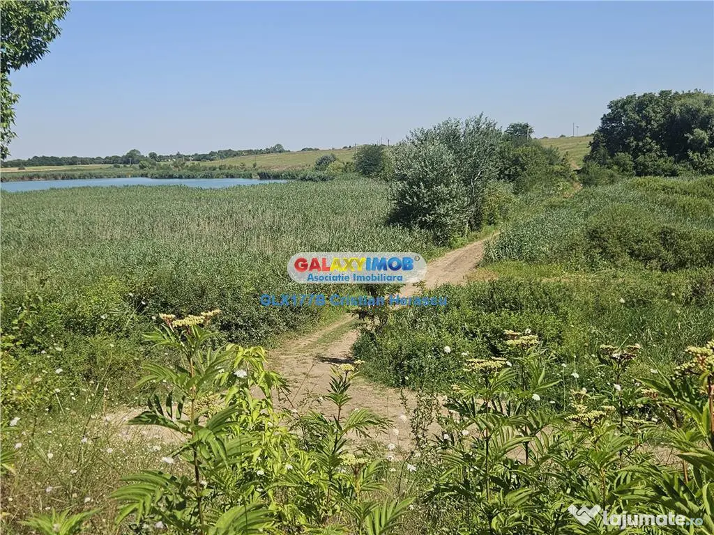 Gradistea 2177 mp cu deschidere directa la LAC de 24 ML