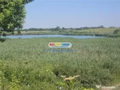 Gradistea 2177 mp cu deschidere directa la LAC de 24 ML