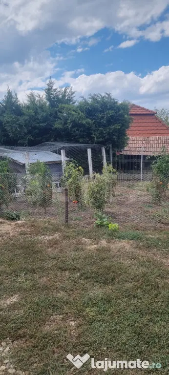 Casa cu 2 camere
