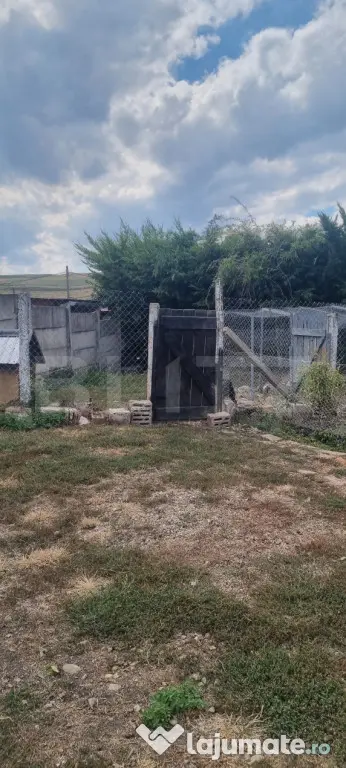 Casa cu 2 camere