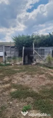 Casa cu 2 camere 