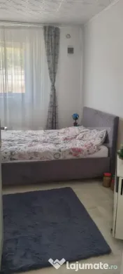 Casa cu 2 camere 