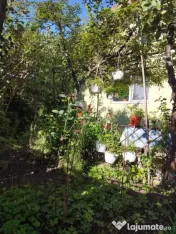 Casa individuala , cu 477 mp Dambu Rotund , Cluj 