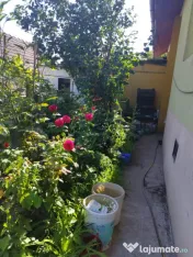 Casa individuala , cu 477 mp Dambu Rotund , Cluj 