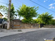 Vila deosebita in Runcu - Dambovita, natura,confort si prive 