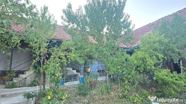 Vand casa in Deva, zona Viile Noi, suprafata totala de teren de 766 mp - Deva (Hunedoara)