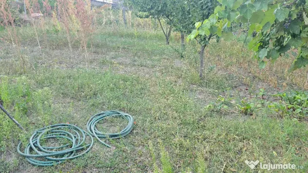 Vand casa in Deva, zona Viile Noi, suprafata totala de teren de 766 mp - Deva (Hunedoara)