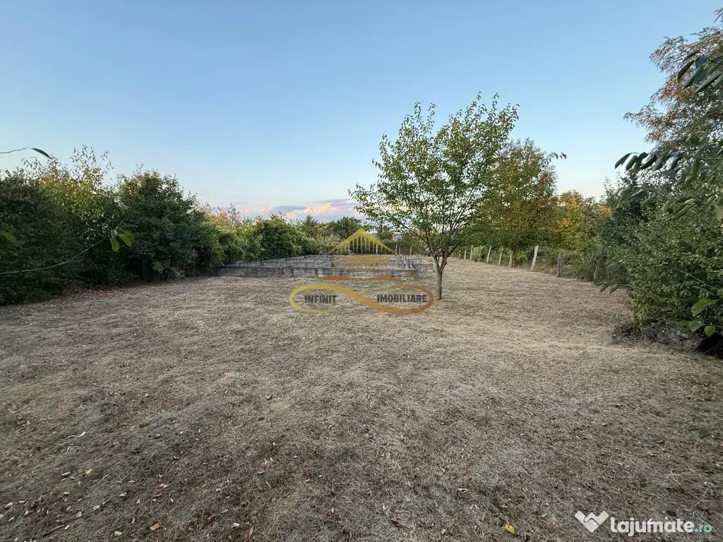 Teren de vanzare in Lilieci Bacau - Lilieci (Bacau)