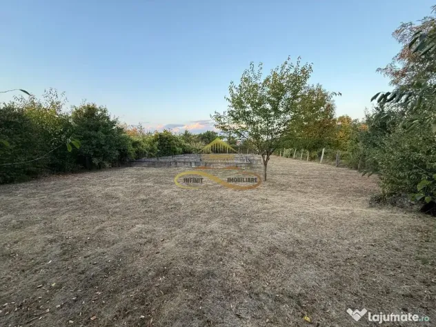 Teren de vanzare in Lilieci Bacau - Lilieci (Bacau)