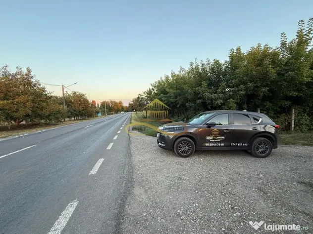 Teren de vanzare in Lilieci Bacau - Lilieci (Bacau)
