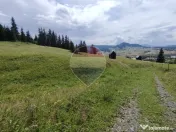 Teren 33,364mp Dorna Candrenilor / Strada Strugurel