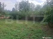 Casă renovată interior în Crângurile de Jos – 2.800 mp