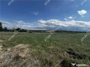 Teren intravilan de 712 mp cu PUZ aprobat langa Padurea Dumb 