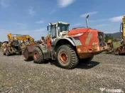 Dezmembrez incarcator frontal Liebherr L 574 