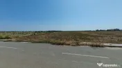 Dragomiresti Valea - Langa Centura, teren 15.000 mp, 28E/mp 