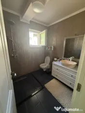 Casa însiruita, 5 camere, 160 mp, zona Teilor 