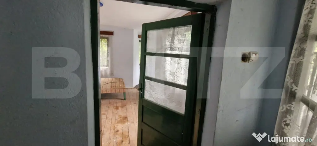 Domeniu polivalent, ideal pentru 2 familii / afacere, 300 mp - Costestii Din Vale (Dambovita)