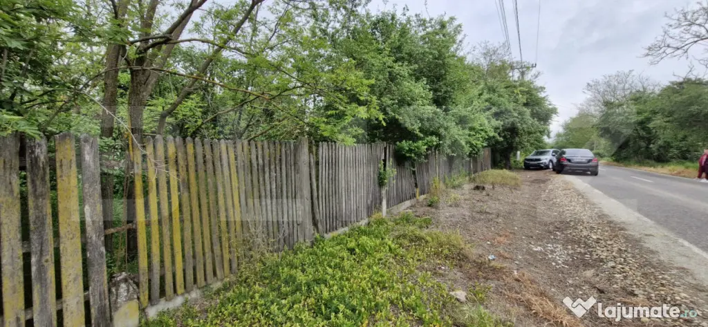 Domeniu polivalent, ideal pentru 2 familii / afacere, 300 mp - Costestii Din Vale (Dambovita)