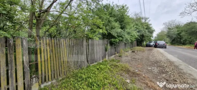 Domeniu polivalent, ideal pentru 2 familii / afacere, 300 mp - Costestii Din Vale (Dambovita)