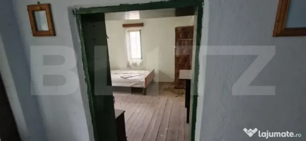 Domeniu polivalent, ideal pentru 2 familii / afacere, 300 mp - Costestii Din Vale (Dambovita)