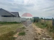 Teren intravilan Golesti / Aleea Lacramioarei