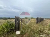 Teren intravilan Golesti / Aleea Lacramioarei