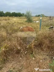 Teren intravilan Golesti / Aleea Lacramioarei