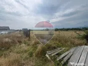 Teren intravilan Golesti / Aleea Lacramioarei
