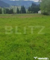 Teren 15.180 mp ( 9943 mp intravilan), zona Saru Dornei - Va 