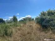 Teren Intravilan de vânzare 