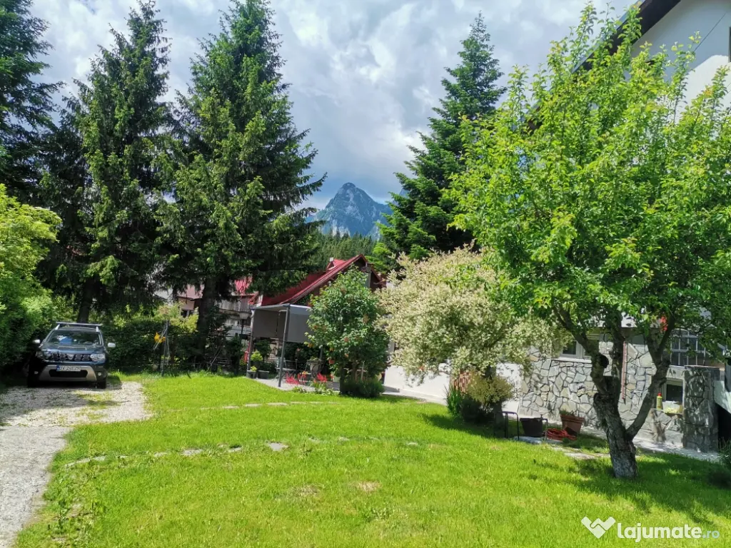 Vila pensiune 4apartamente 4nivele