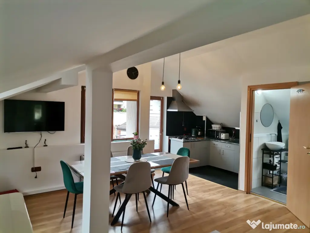 Vila pensiune 4apartamente 4nivele