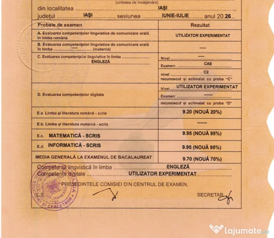 Pregătire informatică BAC și admitere — student FII, 9.95 la BAC