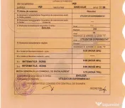 Pregătire informatică BAC și admitere — student FII, 9.95 la BAC 