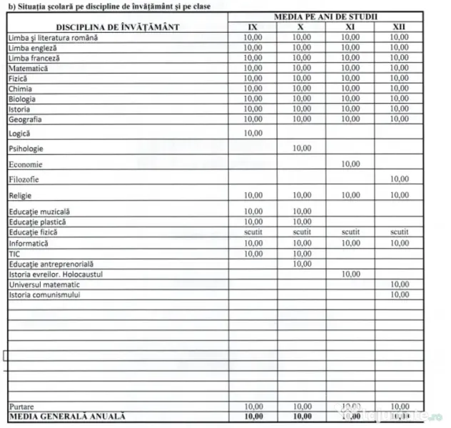 Pregătire informatică BAC și admitere — student FII, 9.95 la BAC
