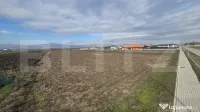 Teren pentru investiție | +14.000 mp | Ciugud – zonă în