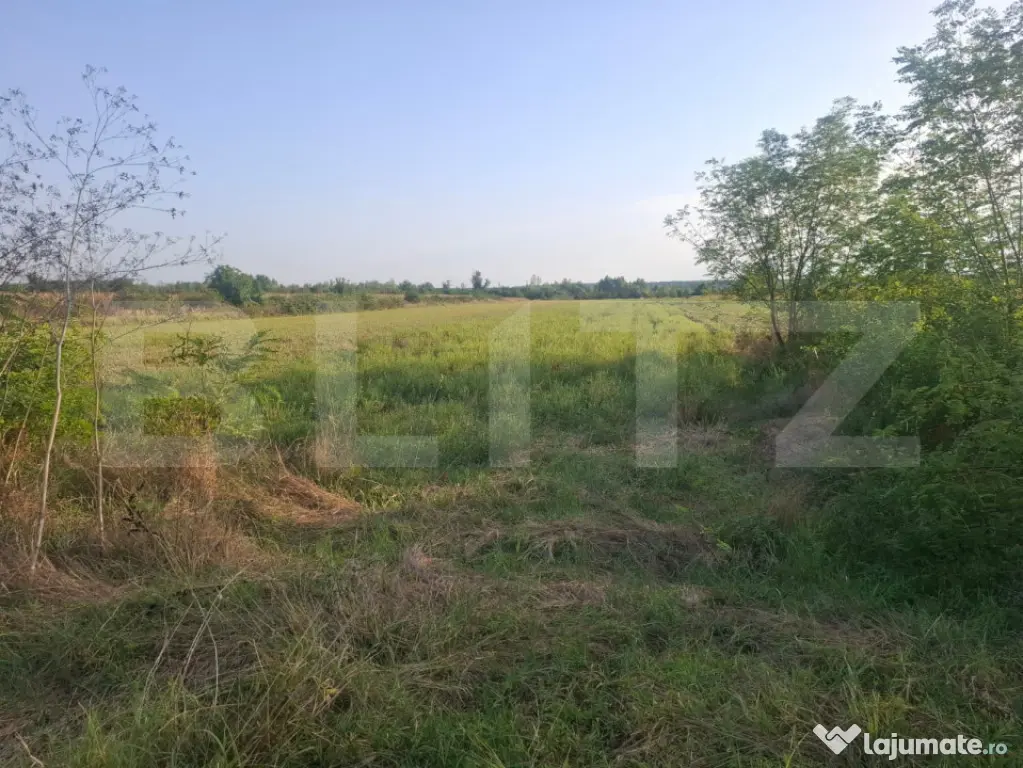 Teren de vanzare Viisoara, oportunitate rara - Viisoara (Dambovita)