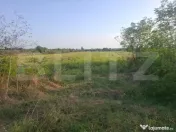 Teren de vanzare Viisoara, oportunitate rara 