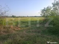 Teren de vanzare Viisoara, oportunitate rara 