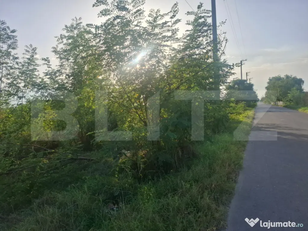 Teren de vanzare Viisoara, oportunitate rara - Viisoara (Dambovita)