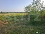 Teren de vanzare Viisoara, oportunitate rara 