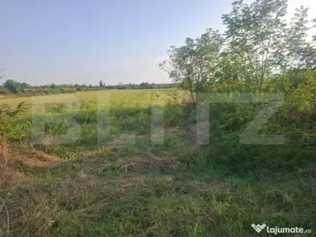 Teren de vanzare Viisoara, oportunitate rara - Viisoara (Dambovita)