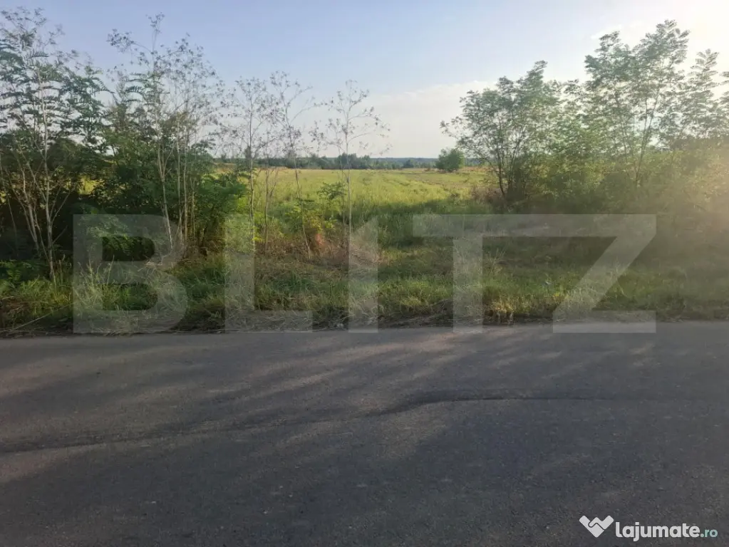 Teren de vanzare Viisoara, oportunitate rara - Viisoara (Dambovita)