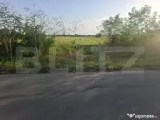 Teren de vanzare Viisoara, oportunitate rara 