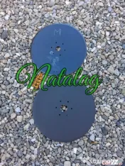Disc semanatoare Nodet 