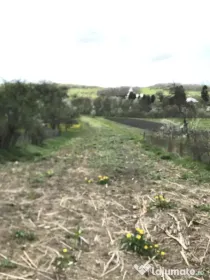 Teren intravilan 1.900 mp – Măcicașu, Chinteni