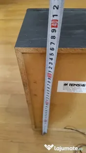 Boxe Tensai de 20W pe 4 ohmi