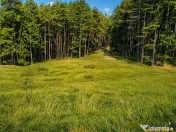 Incantator parc privat, 1.500mp: casa pensiune refugiu mon 